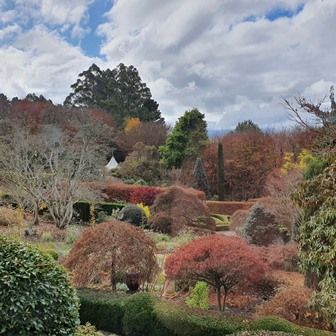 Cloudehill Gardens Olinda