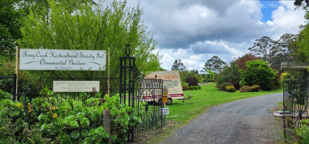 Ferny Creek Horticultural Society Entry