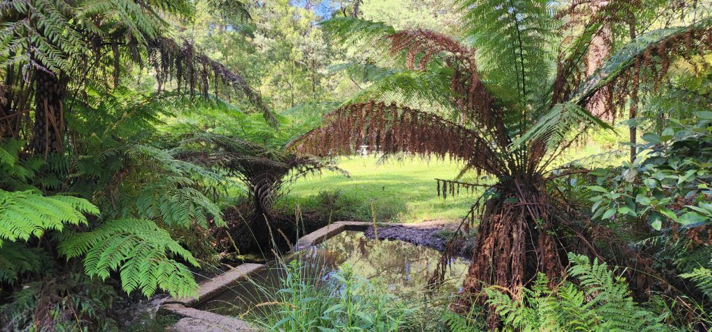 Beagleys Bridge Kallista