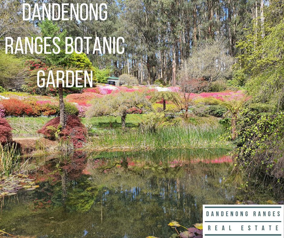 Dandenong Ranges Botanic Garden Olinda