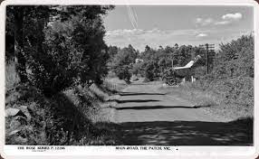 THE PATCH STORE IN AN OLD POST CARD