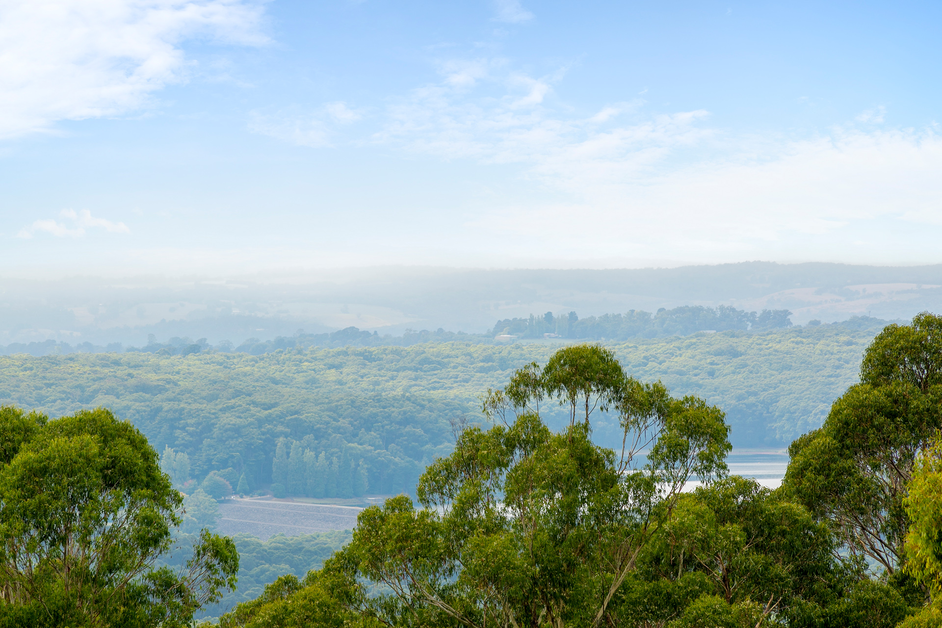 A glimpse of Silvan Dam