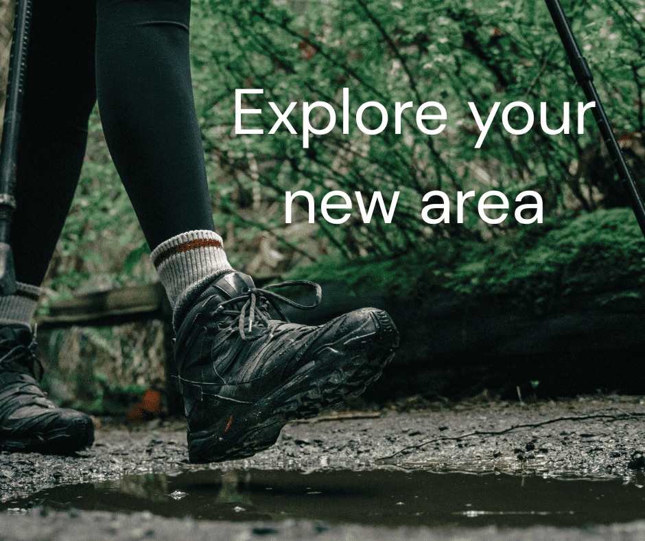 Exploring the Dandenong Ranges